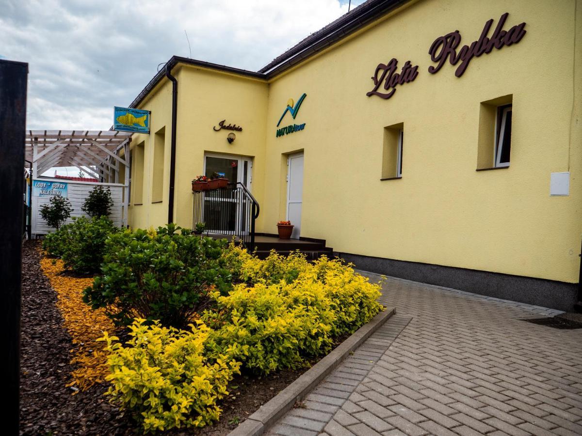 Zlota Rybka Natura Tour Dziwnówek Eksteriør billede